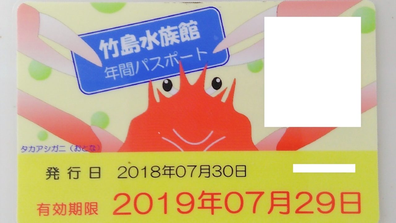 竹島水族館の料金 年パス 割引券 クーポン や無料で入る方法まとめ 毎日をもっと楽しもう